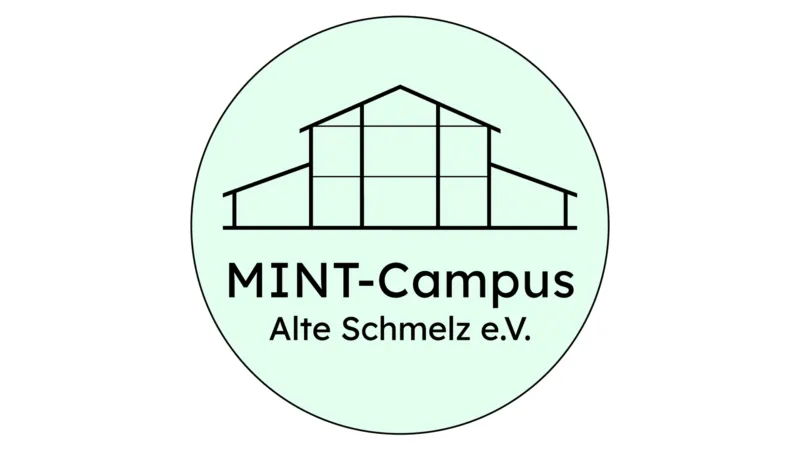 Chemie des Siliciums: Öffentlicher Vortrag im Wissenschaftsforum St. Ingbert