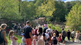 Neunkircher Zoo feiert 100. Geburtstag mit rund 3.000 Besuchern