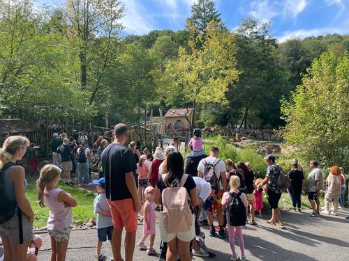 Neunkircher Zoo feiert 100. Geburtstag mit rund 3.000 Besuchern 1 Aktuelles aus Neunkirchen | Bild: Bereitgestellt durch die Kreisstadt Neunkirchen Zoo inside – So schön war’s beim Zoogeburtstag