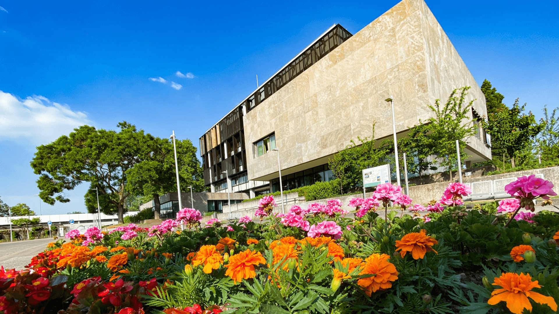 Terminbuchung für Bürgerservice-Center in St. Ingbert derzeit gestört 1 Aktuelles aus St. Ingbert | Bild: Stadt St. Ingbert Aktuell keine Terminbuchung für das Bürgerservice-Center der Stadt St. Ingbert möglich