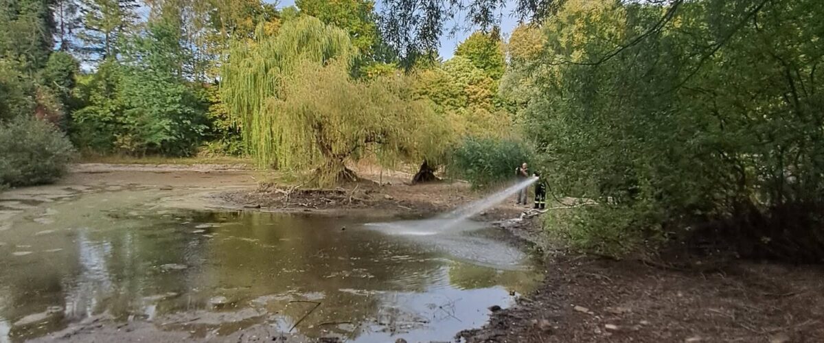 Weiher Villinger Park