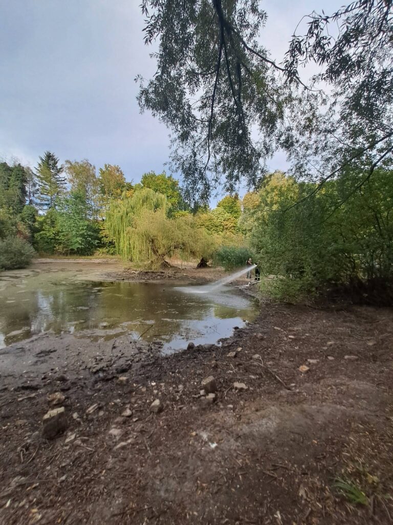 Weiher Villinger Park
