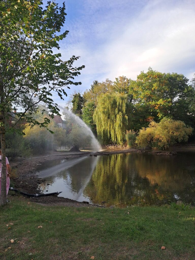 Weiher Villinger Park