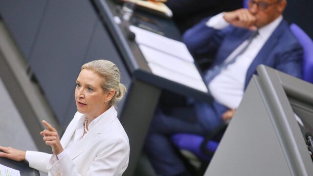 Infratest: AfD weiter deutlich vor Union 4 Alice Weidel und Friedrich Merz (Archiv)