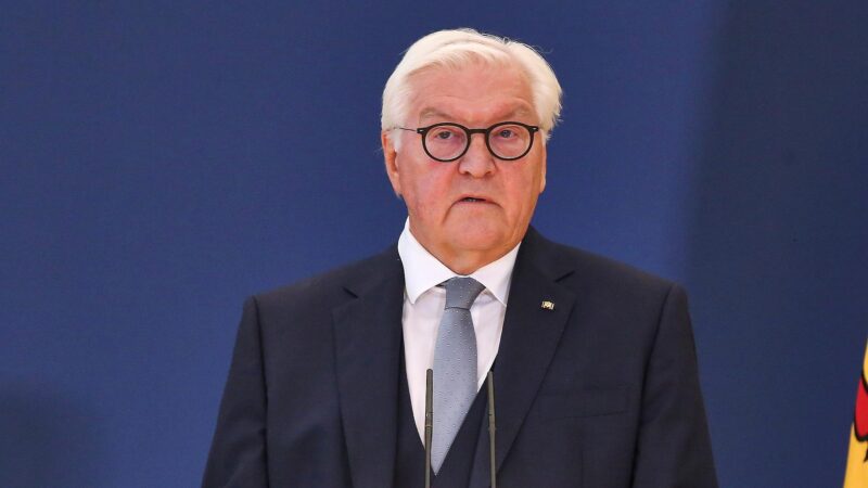 Steinmeier hofft bei Klimaschutz auf technologische Innovationen 4 Frank-Walter Steinmeier (Archiv)