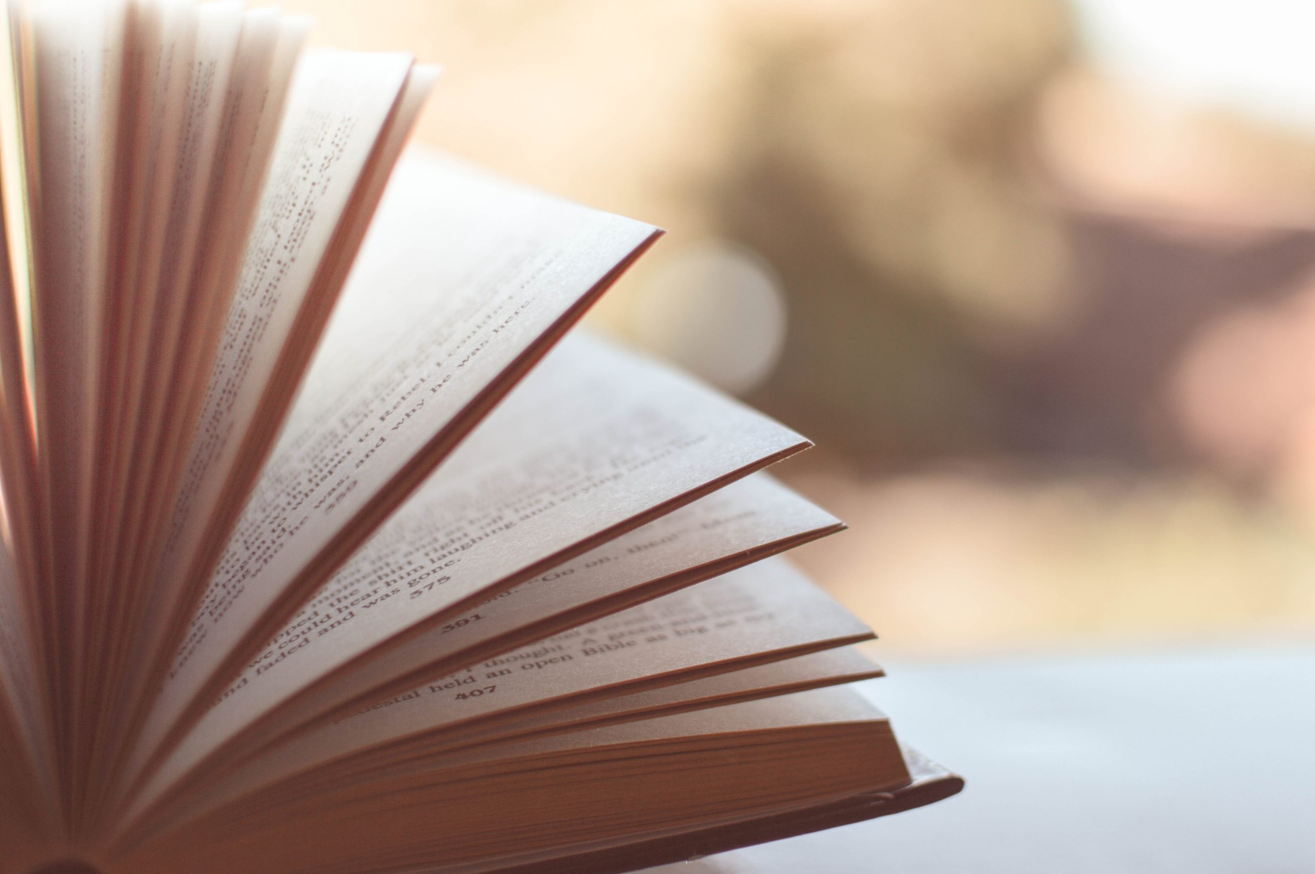 Bild: Gemeinde Gersheim Buch des Monats Oktober 2026
