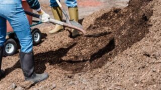 RAG mulcht im Oktober Fläche an der Grubenstraße