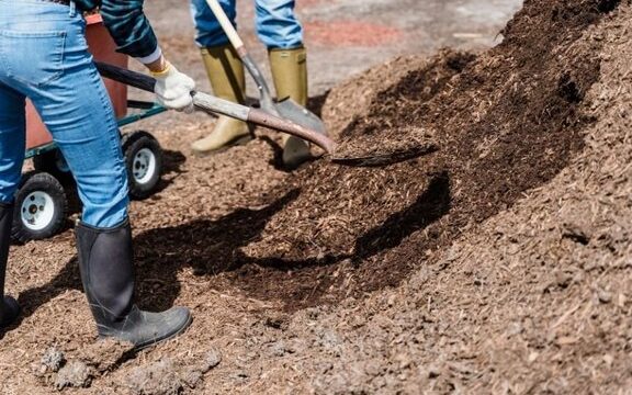 RAG mulcht im Oktober Fläche an der Grubenstraße 2 Bild: Stadt Friedrichsthal Personen mit Schaufel arbeiten mit Mulch