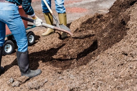 RAG mulcht im Oktober Fläche an der Grubenstraße 1 Bild: Stadt Friedrichsthal Personen mit Schaufel arbeiten mit Mulch