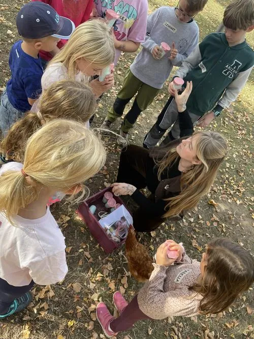 Spiesen-Elversberg: Schafe und Ziegen pflegen Grünflächen, Gemeinde veranstaltet Naturwochen für Kinder