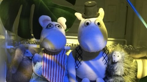Kleines Theater im Rathaus startet am 24. Oktober in die Spielzeit 2026/2027