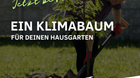 Eppelborn bietet vergünstigte Laub- und Obstbäume für Hausgärten an
