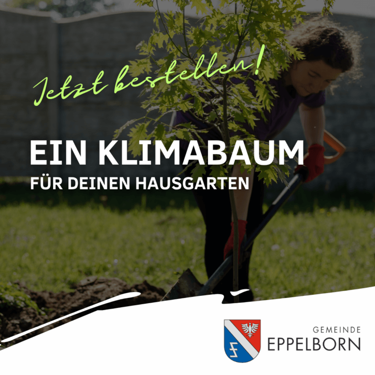 Eppelborn bietet vergünstigte Laub- und Obstbäume für Hausgärten an 1 Aktuelles aus Eppelborn Ein Klimabaum für Ihren Hausgarten