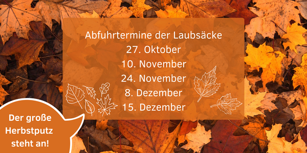 Sulzbach gibt kostenlose Laubsäcke für Laub von städtischen Straßenbäumen aus 1 Aktuelles aus Sulzbach Bild vergrößern: Umschau_42_TdW_Herbstputz
