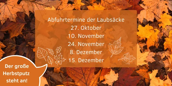 Sulzbach gibt kostenlose Laubsäcke für Laub von städtischen Straßenbäumen aus 2 Aktuelles aus Sulzbach Bild vergrößern: Umschau_42_TdW_Herbstputz