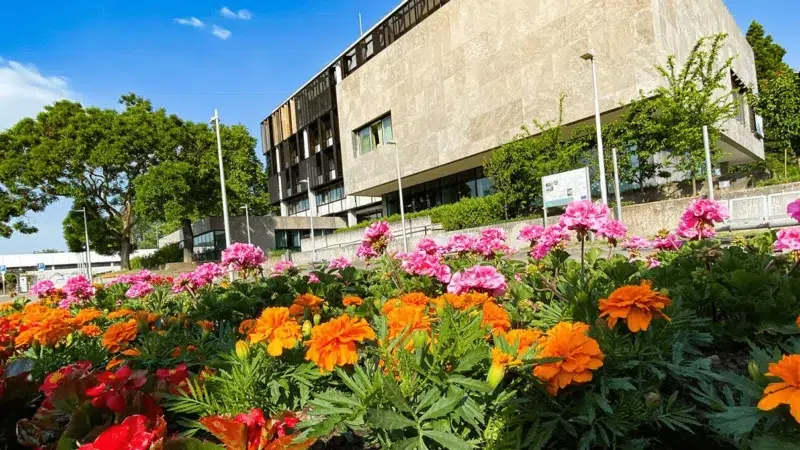 St. Ingbert: Kinder- und Jugendparlament kommt zur ersten Sitzung zusammen 3 Aktuelles aus St. Ingbert Kinder- und Jugendparlament in St. Ingbert nimmt Arbeit auf
