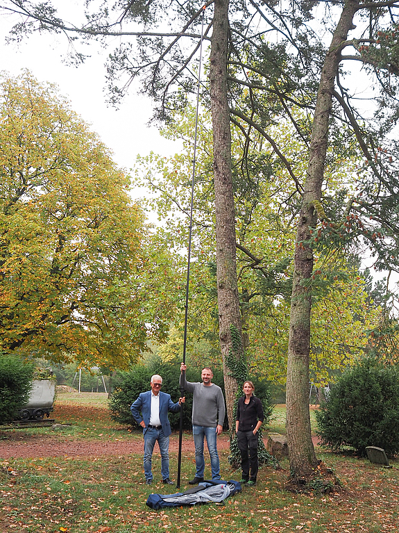 Aktuelles aus Völklingen Drei Personen vor einem hohen Baum mit der Teleskoplanze