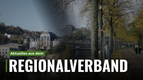 Infoabend zur Aufnahme von Pflegekindern am 3. November im Saarbrücker Schloss