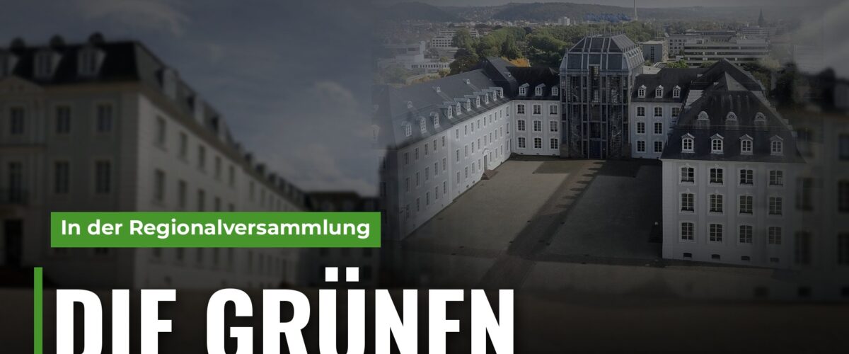 Die Grünen im Regionalverband: Saarbruecken Schloss 2024, TotaleMuseum2