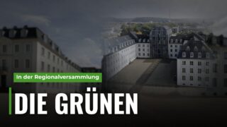 Grüne fordern 100 zusätzliche Bäume auf Schulhöfen im Regionalverband Saarbrücken