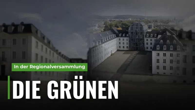 Grüne fordern 100 zusätzliche Bäume auf Schulhöfen im Regionalverband Saarbrücken