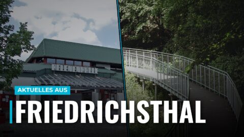 Friedrichsthal sucht zwei Weihnachtsbäume für die Marktplätze 8 Friedrichsthal sucht zwei Weihnachtsbäume für die Marktplätze